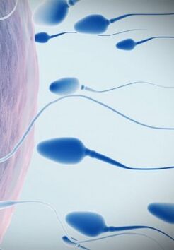 Spermogram for low potency