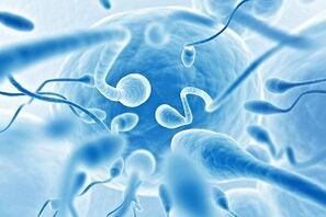 sperm in the discharge of men during arousal